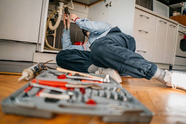 Best Same-Day Plumbing Service  in Pecatonica, IL