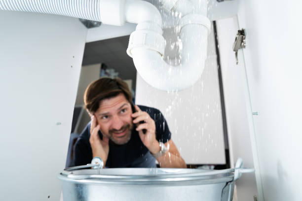 Best Plumbing Services Near Me  in Pecatonica, IL
