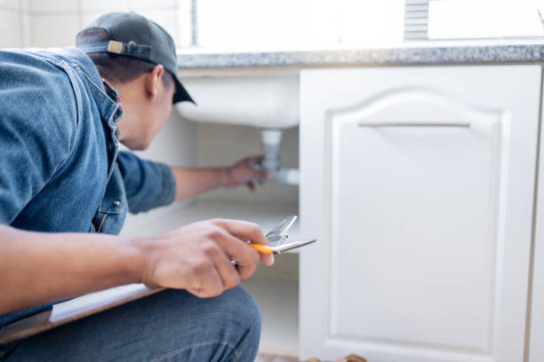 Best Water Softener Installation  in Pecatonica, IL