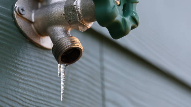 Best Drain Cleaning Services  in Pecatonica, IL