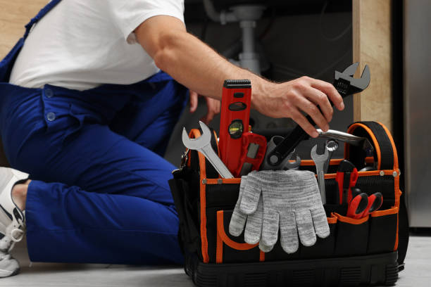 Best Toilet Repair Services  in Pecatonica, IL