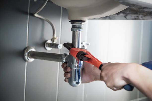 Best Local Plumber Services  in Pecatonica, IL