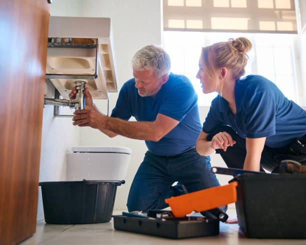 Best Affordable Plumbing Services  in Pecatonica, IL